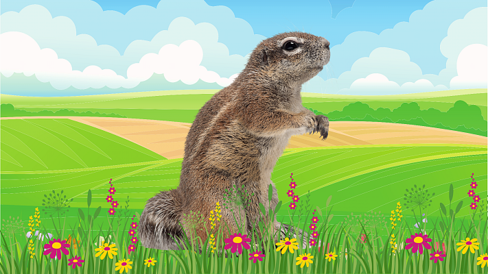 Vyjmenovaná slova po S - Sysel Standa